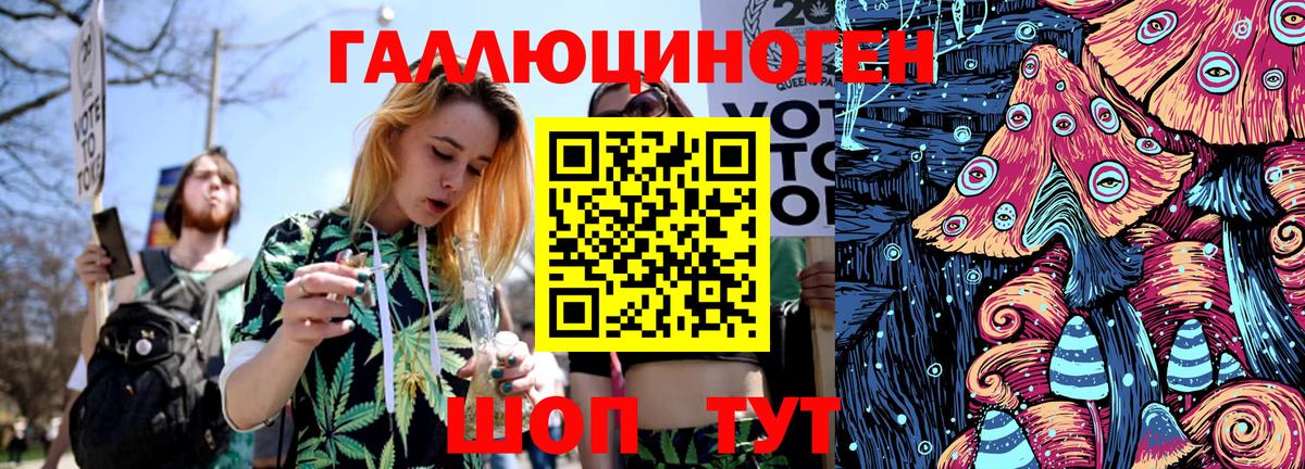 Камышлов  Псилоцибиновые грибы MAGIC MUSHROOMS  Вход с VPN 