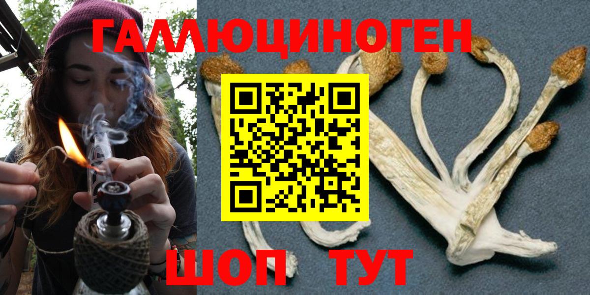 Галлюциногенные грибы MAGIC MUSHROOMS Камышлов
